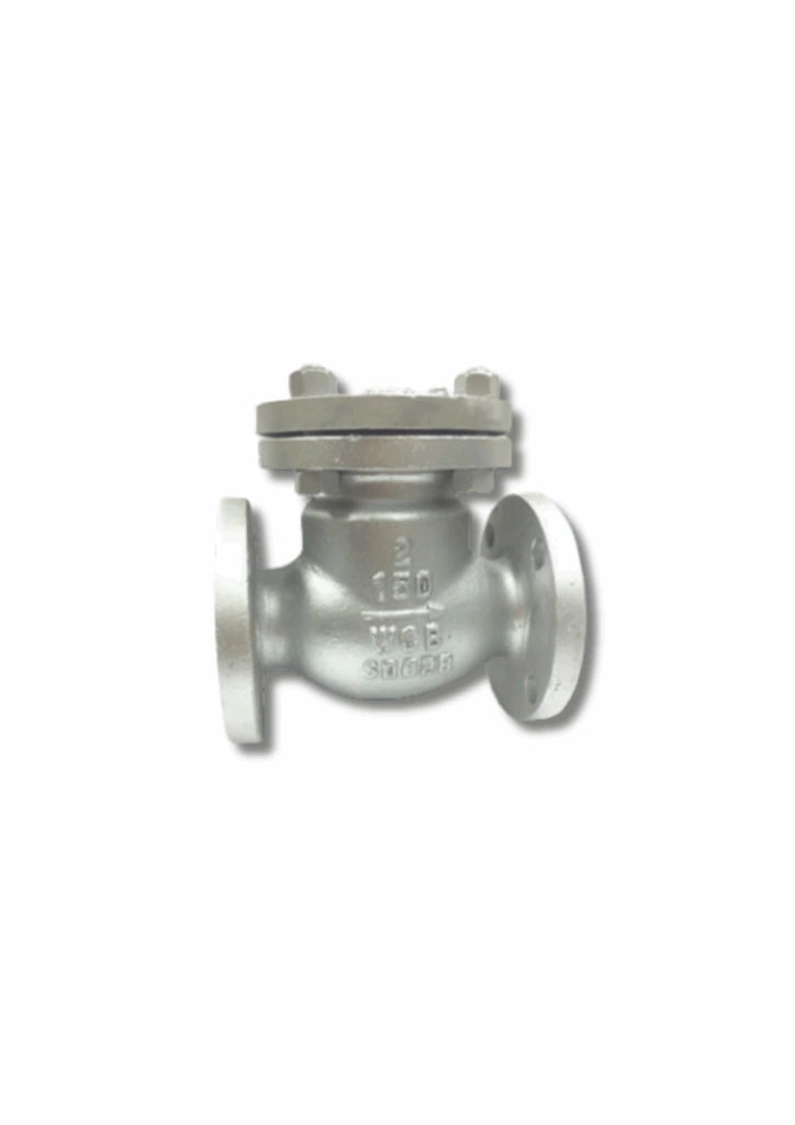 Swing Check Valve ANSI300 Cast Steel Arita | วาล์วกันกลับสวิง เหล็กหล่อคุณภาพสูง