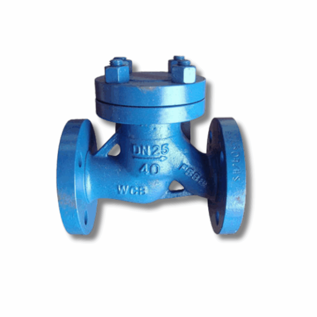 วาล์วกันกลับเหล็กหล่อแบบ S-Pattern | Cast Steel S-Pattern Check Valve PN40 DN25