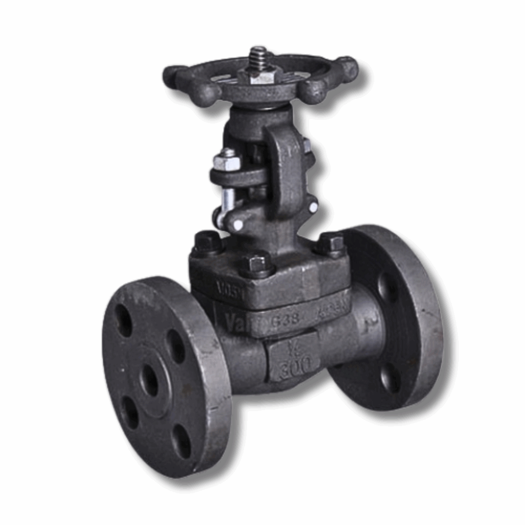 Gate Valve Forged Steel ARITA Class 150/300 – วาล์วประตูเหล็กปลอมคุณภาพสูง