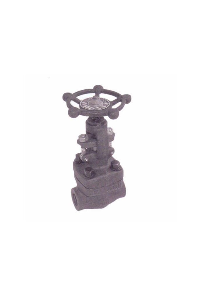 ARITA Class 800 Forged Steel Globe Valve รุ่น FSGL-800 วาล์วเหล็กฟอร์จสำหรับงานน้ำมัน แก๊ส ไอน้ำ แรงดันสูง