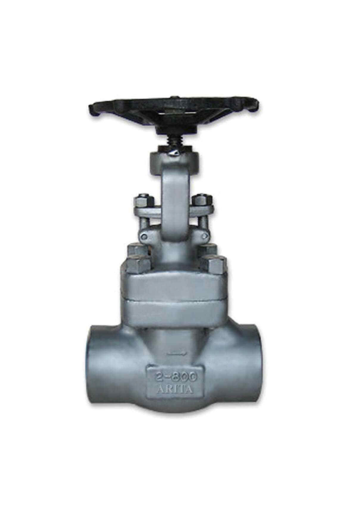 Forged Stainless Steel Gate Valve Class 800 จาก ARITA