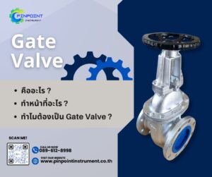 Gate Valve คืออะไร?